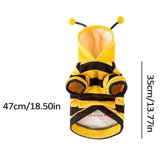 Costume Abeille Chat