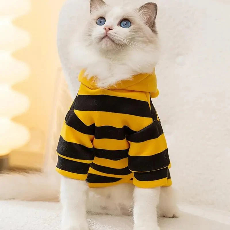 Costume Abeille Chat