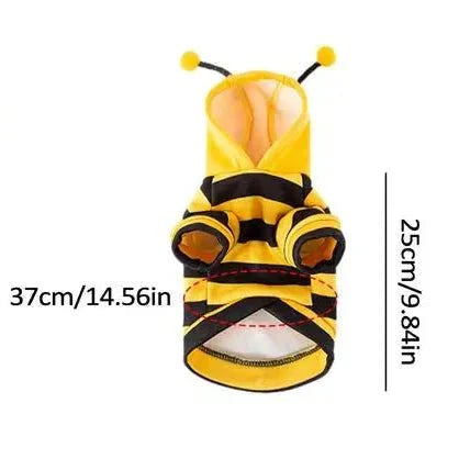Costume Abeille Chat