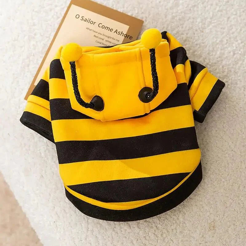 Costume Abeille Chat