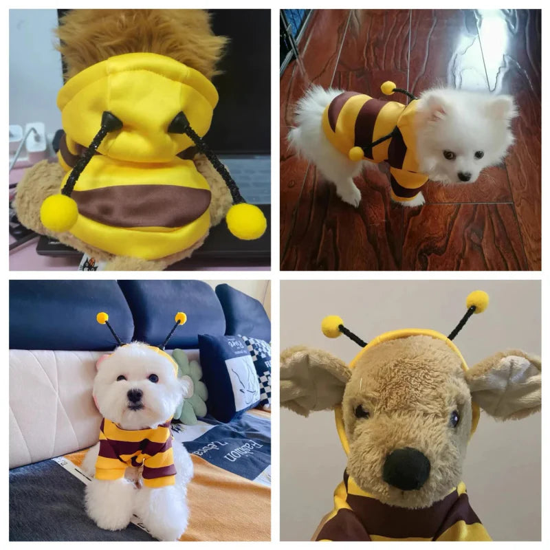 Costume Abeille Chien