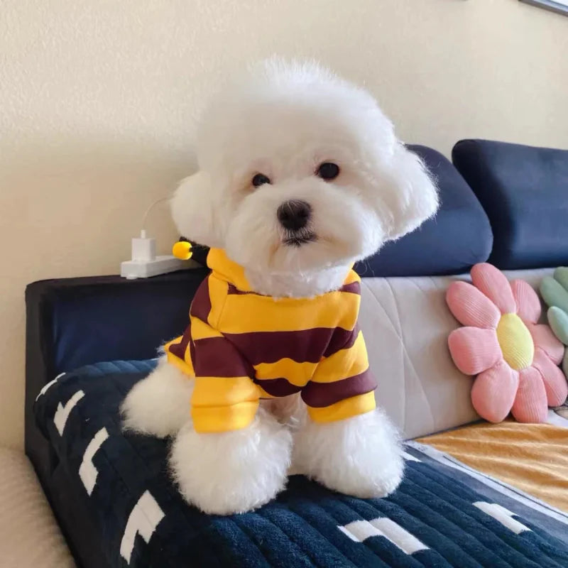 Costume Abeille Chien