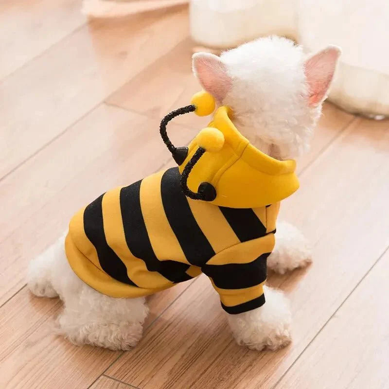 Costume Abeille Chien