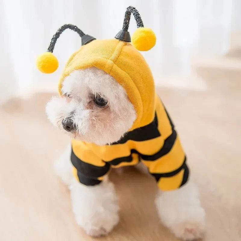 Costume Abeille Chien