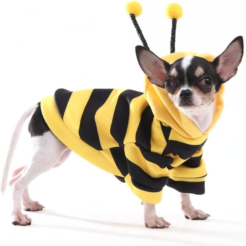 Costume Abeille Chien