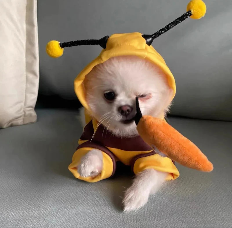 Costume Abeille Chien