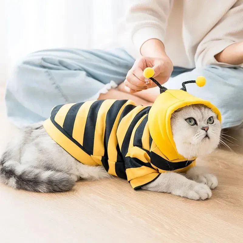 Costume Abeille Chien