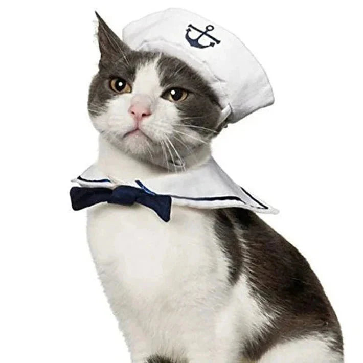 Costume de Marin Chat