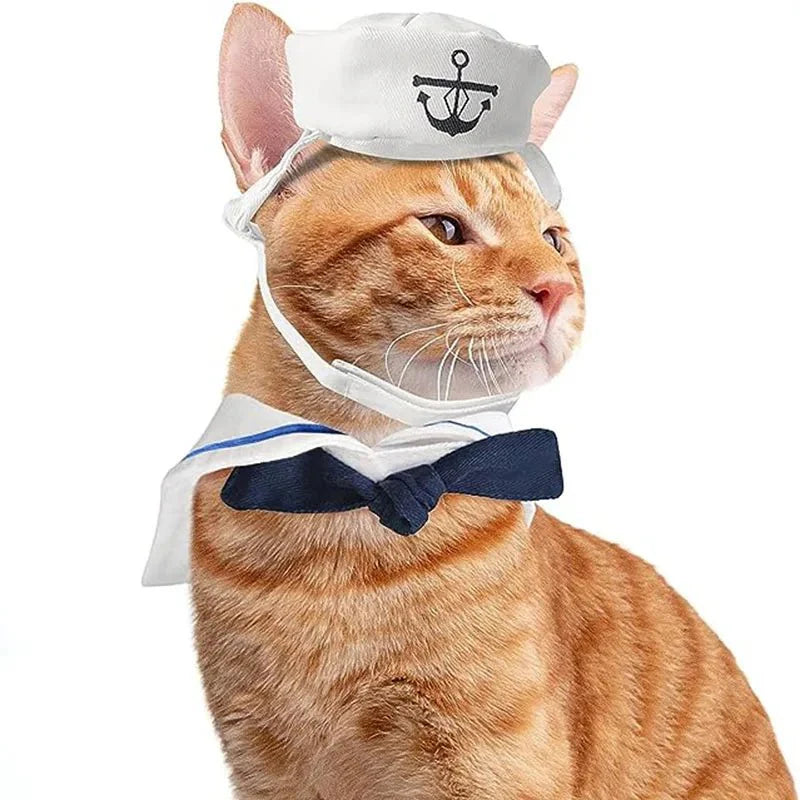 Costume de Marin Chat