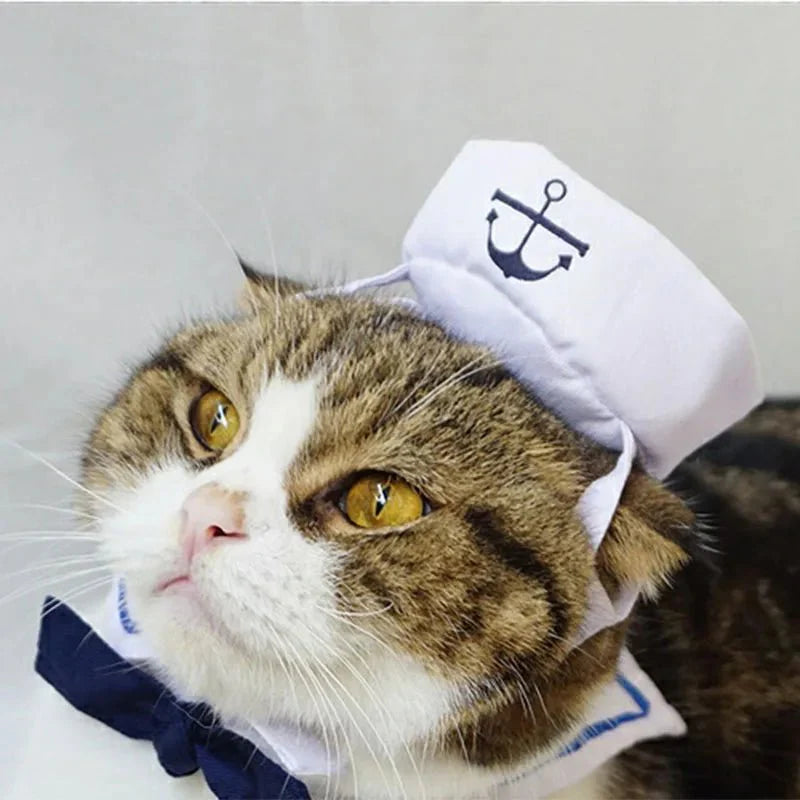 Costume de Marin Chat