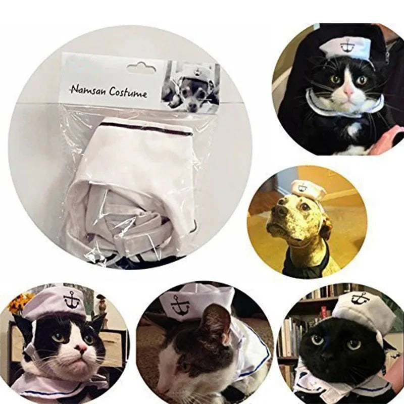 Costume de Marin Chat
