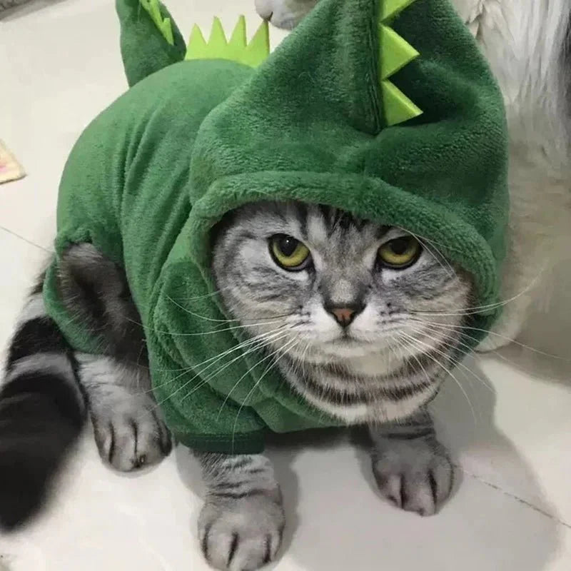 Costume Dinosaure Chat