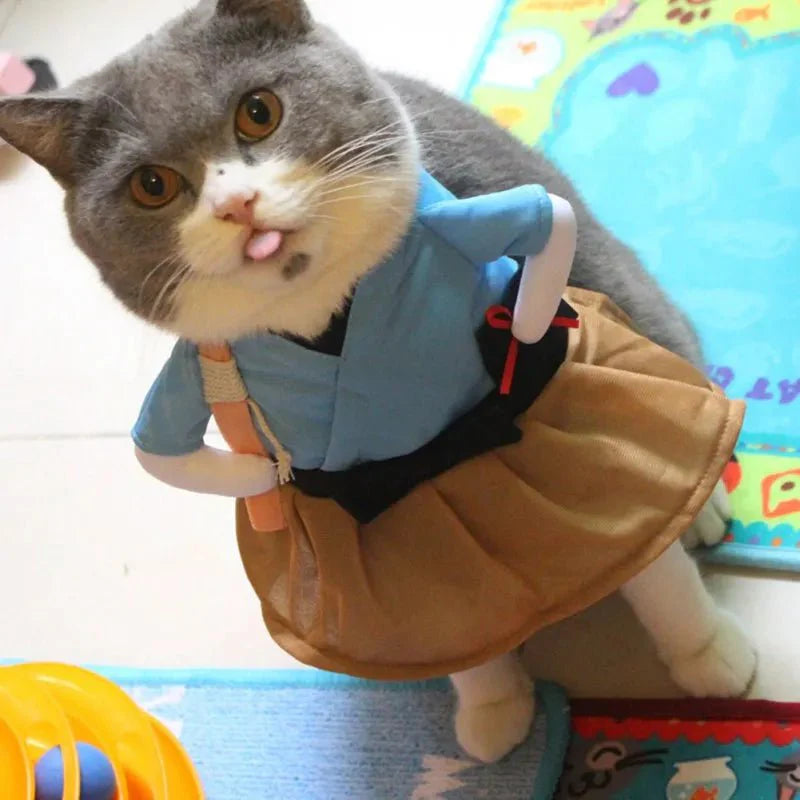 Costume Ninja pour Chat