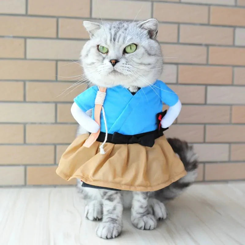 Costume Ninja pour Chat