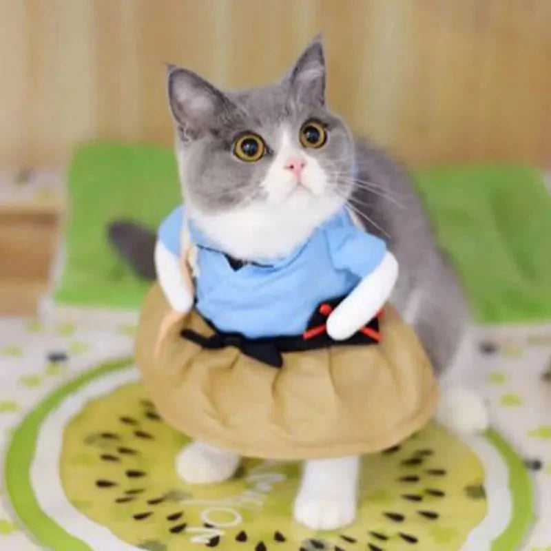 Costume Ninja pour Chat