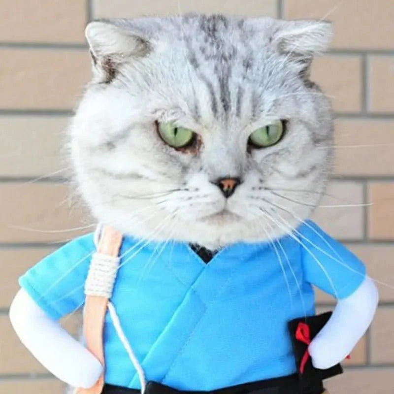 Costume Ninja pour Chat