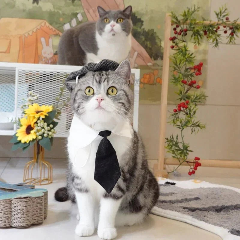 Costume Peaky Blenders Chat
