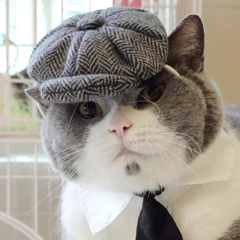 Costume Peaky Blenders Chat