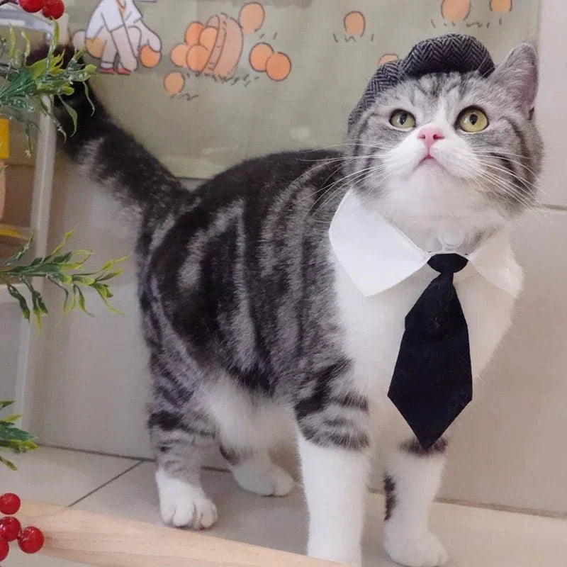 Costume Peaky Blenders Chat