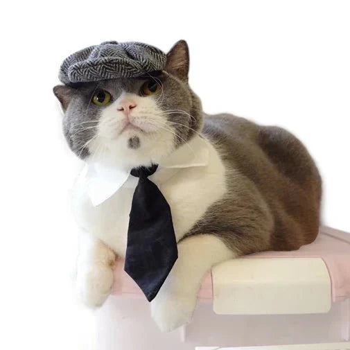 Costume Peaky Blenders Chat