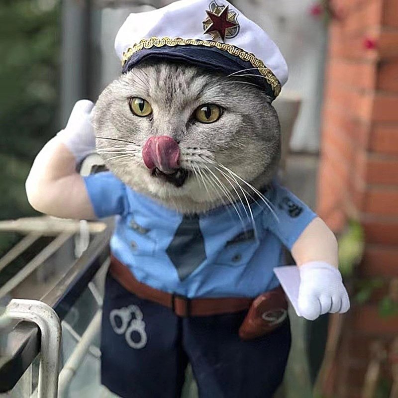Costume Police pour Chat