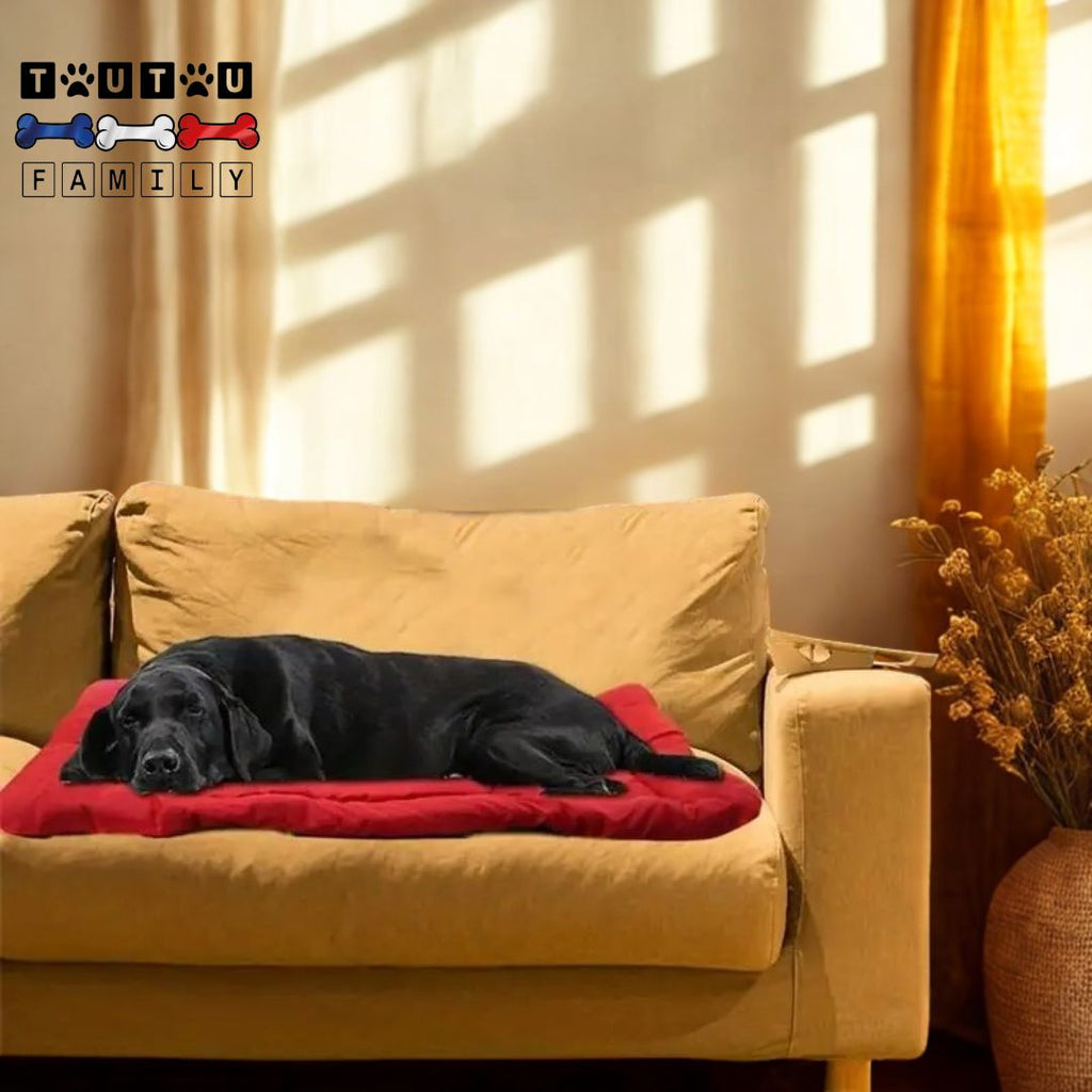 Couchage pour chien - PliableToutou™