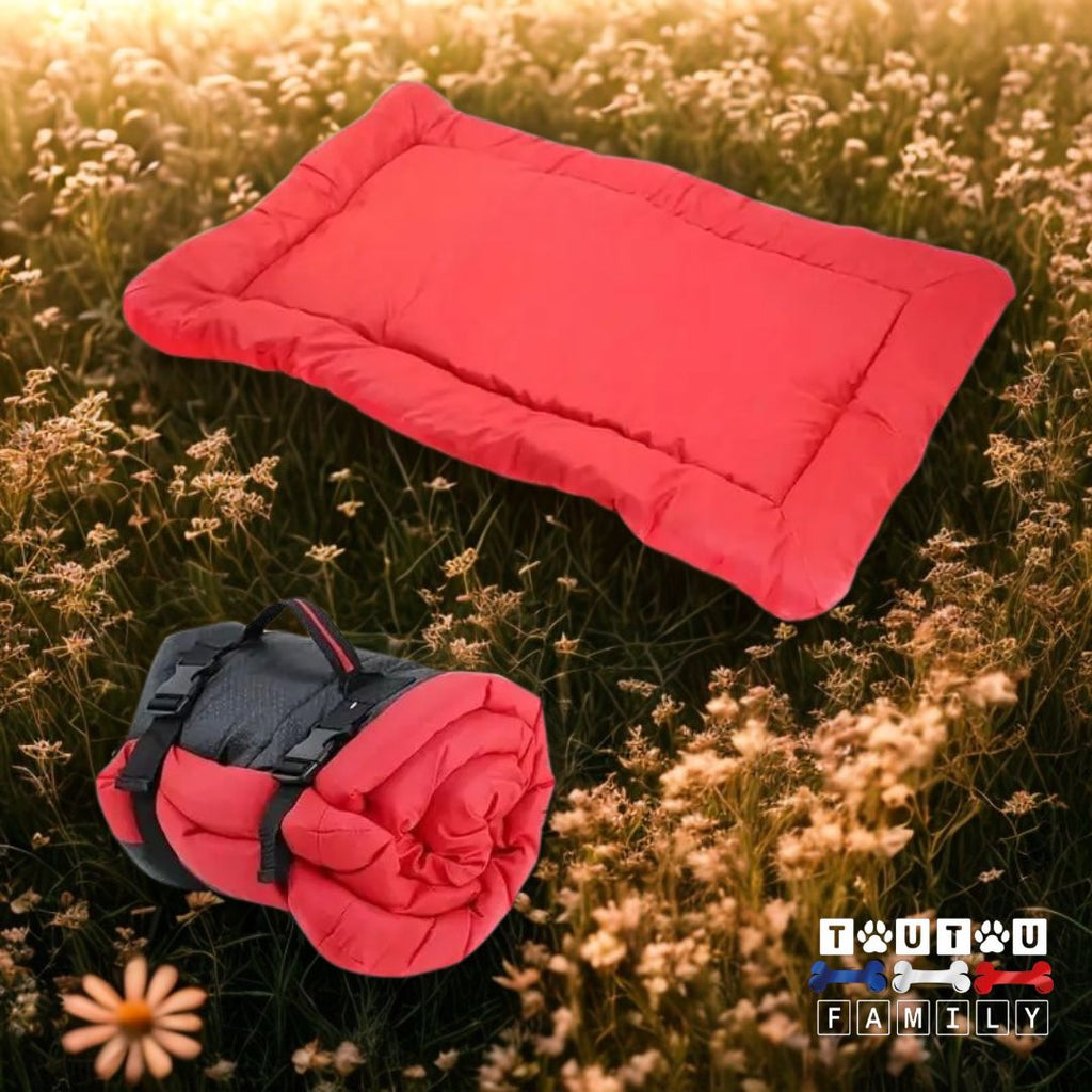 Couchage pour chien - PliableToutou™
