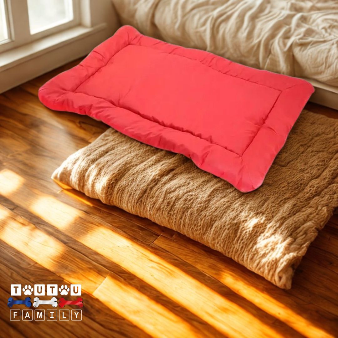 Couchage pour chien - PliableToutou™