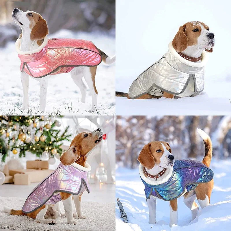 Coupe-Vent Chien