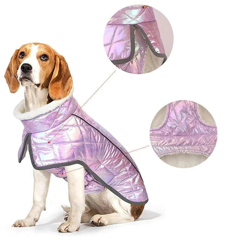 Coupe-Vent Chien