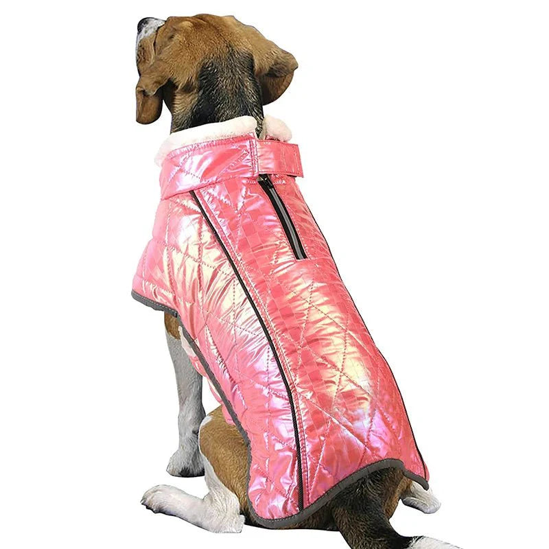 Manteau Rose Grand Chien