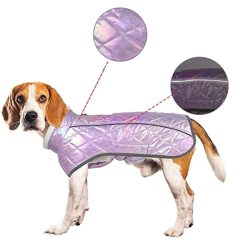 Coupe-Vent Chien