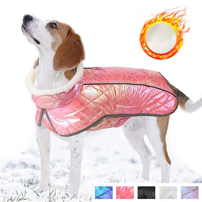 Coupe-Vent Chien