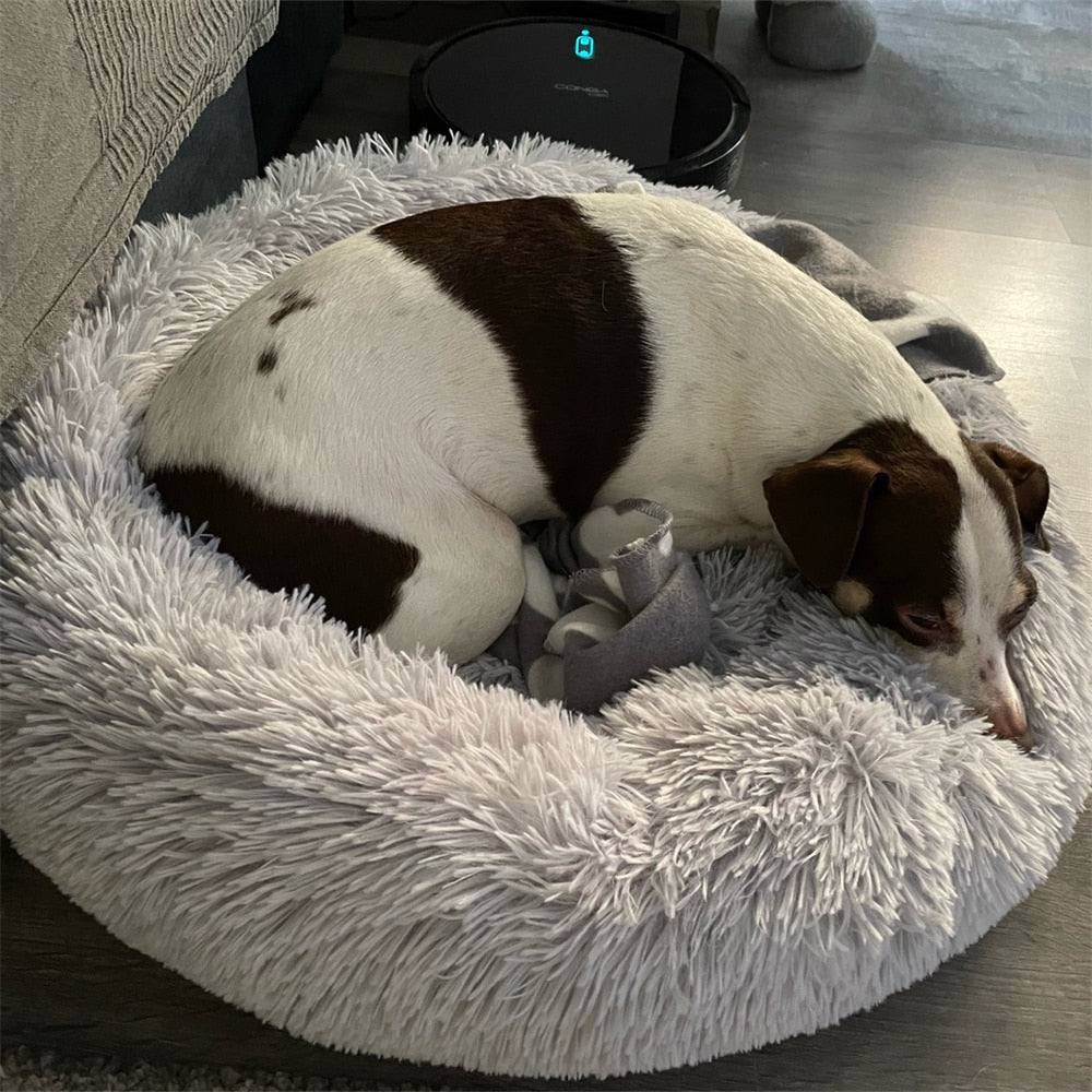 Coussin pour chien apaisant | ConfortCanin™