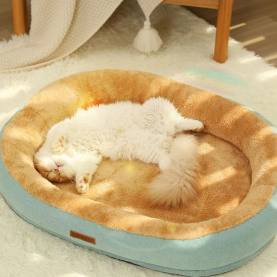 coussin à chat douillet