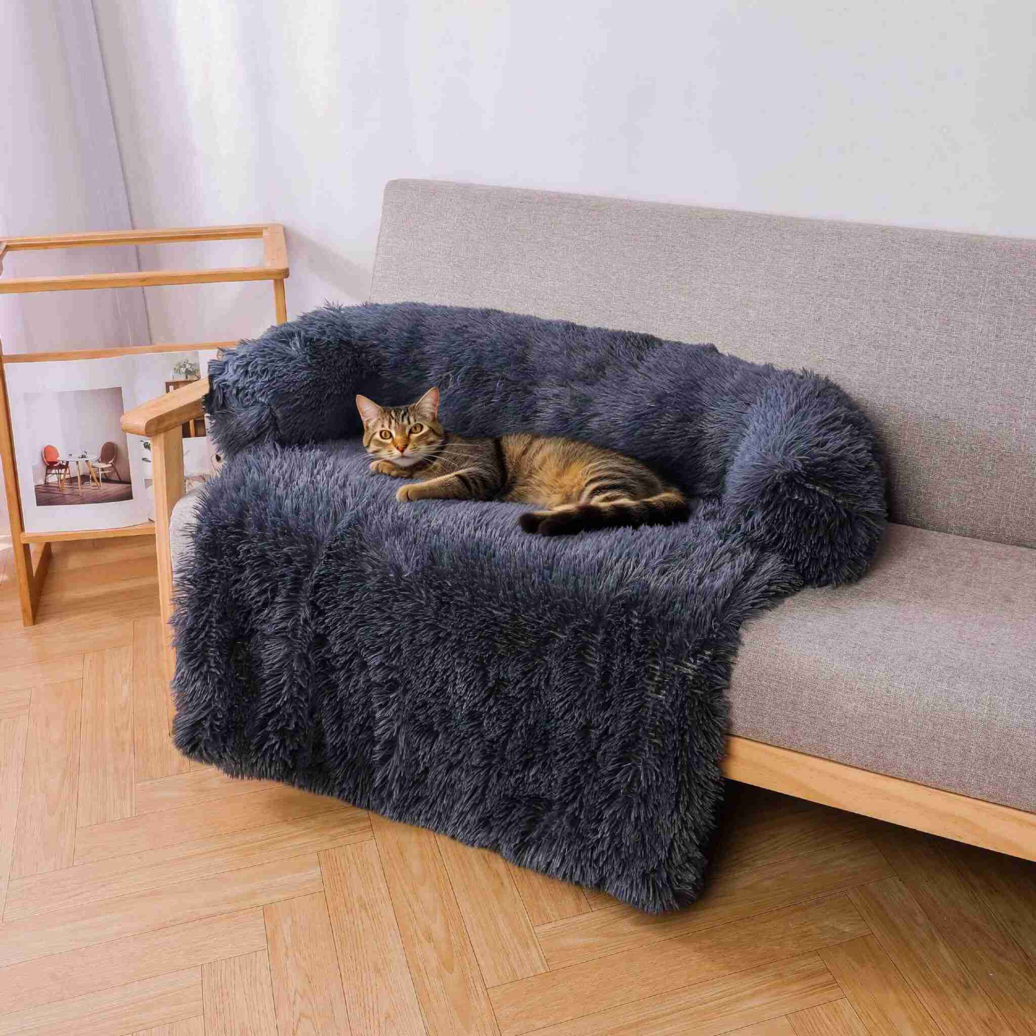 coussin à chat anti stress