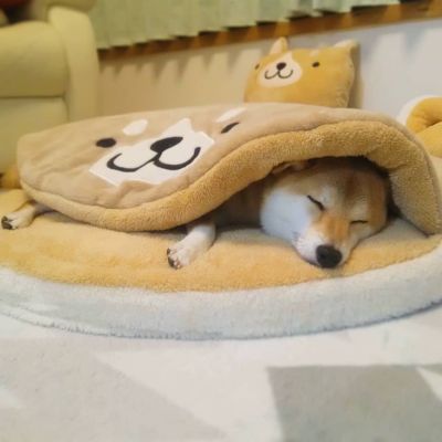 COUSSIN ANTI STRESS CHIEN - BEARHUG™