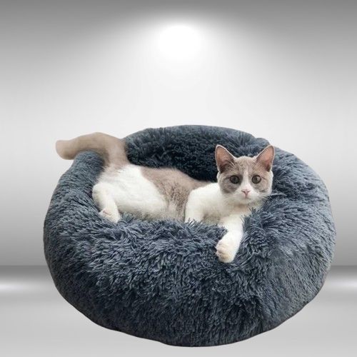 coussin chat | DODOCOSY