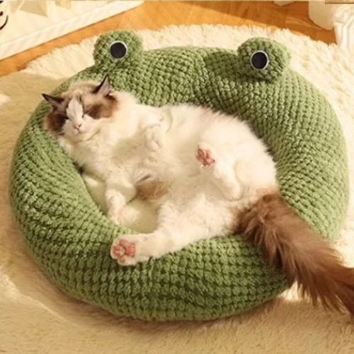 coussin chat | DODOFROG