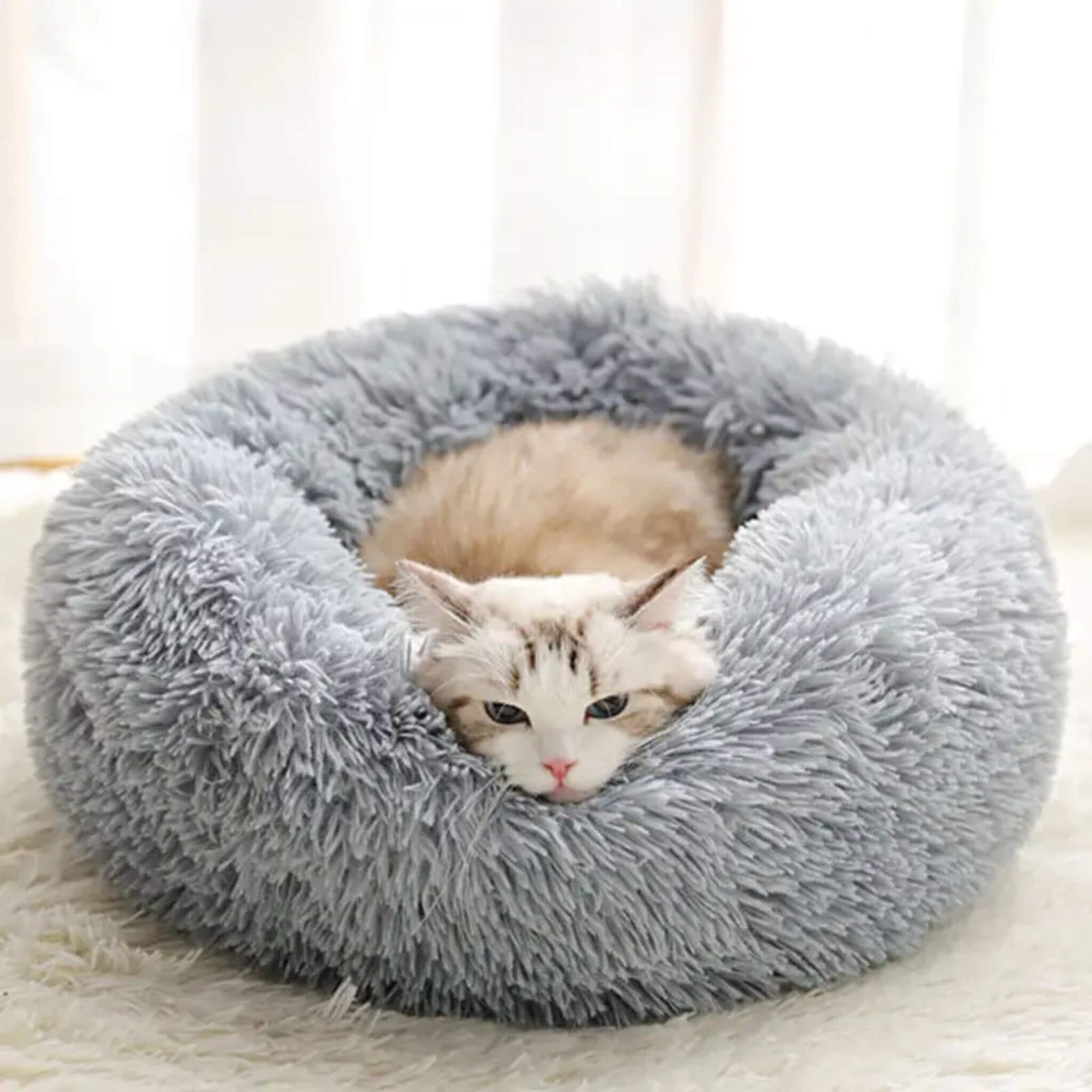 coussin chat | DODOCOSY