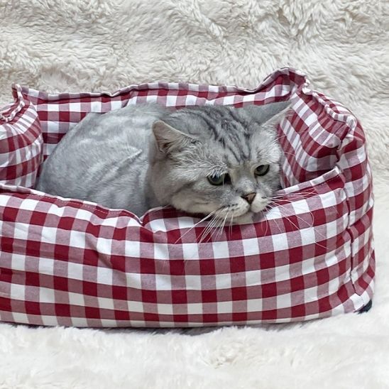 coussin chat vichy