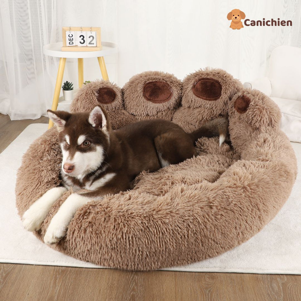 coussin-chien-brun