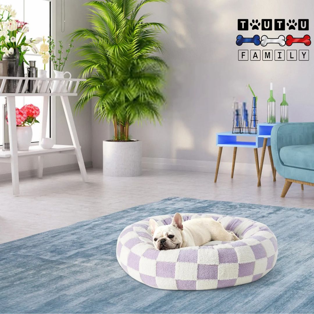 Coussin chien - ChaudToutou™