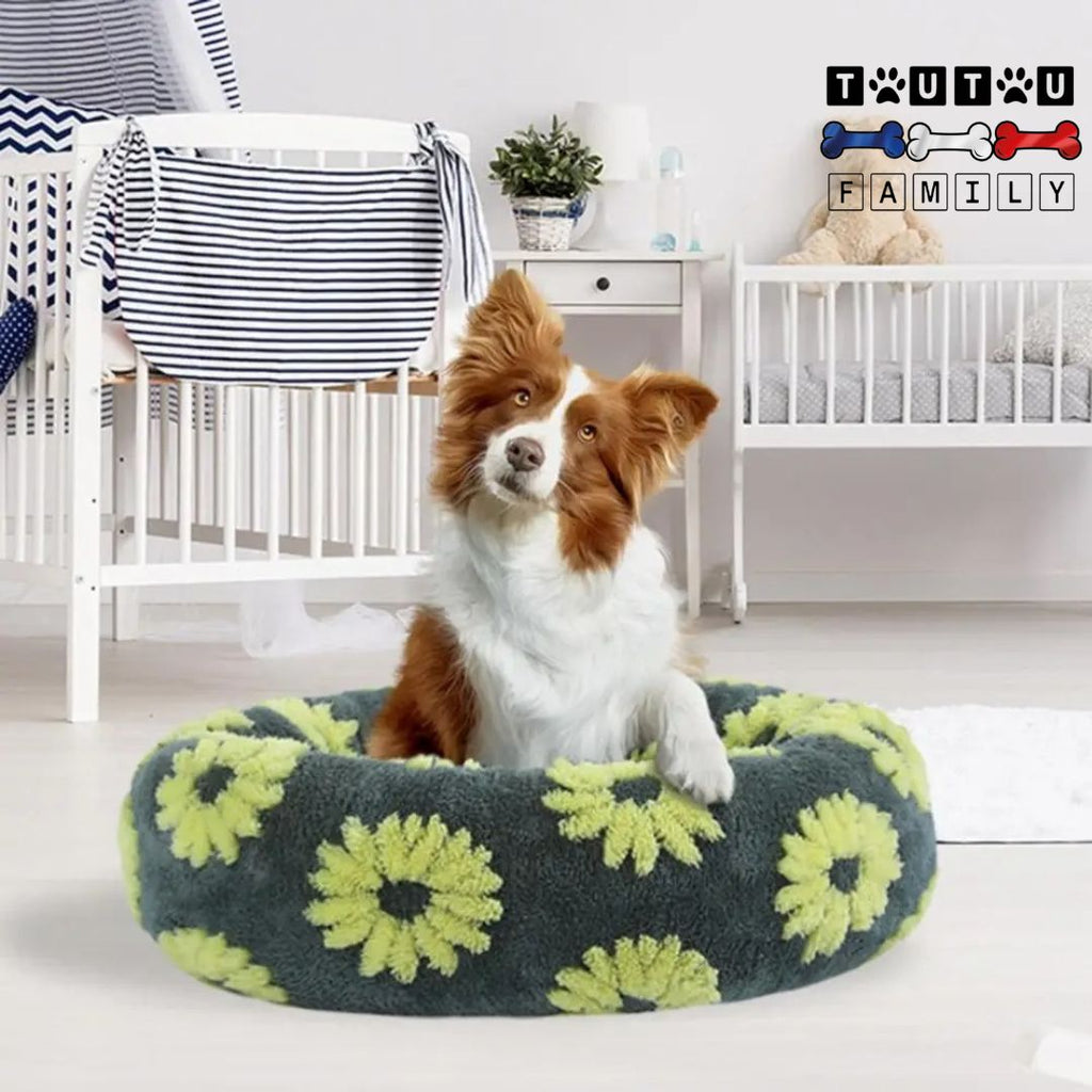Coussin chien - ChaudToutou™