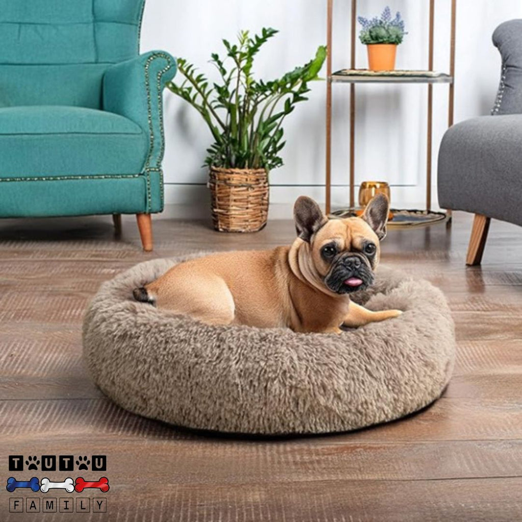 Coussin chien - EntoureToutou™