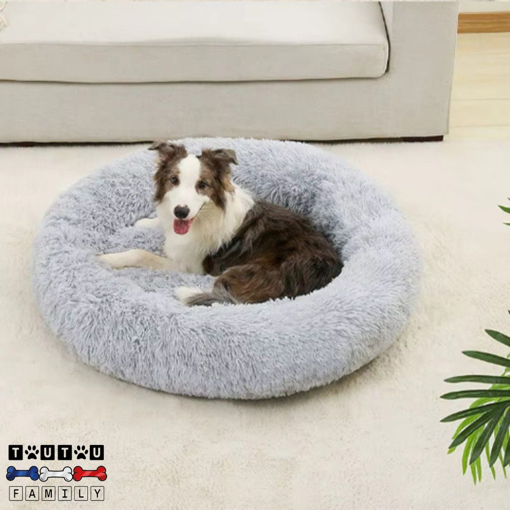 Coussin chien - EntoureToutou™