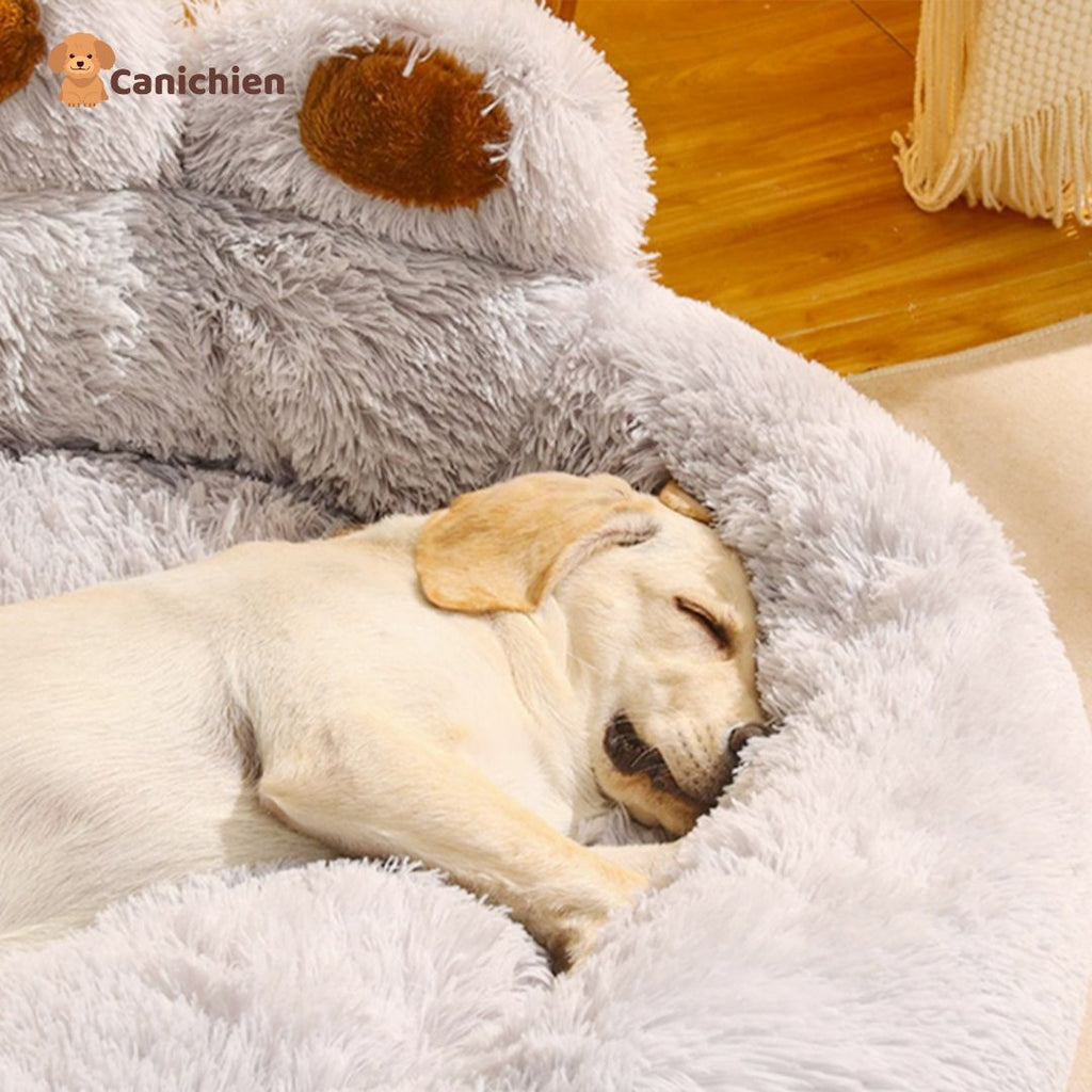 Coussin Chien | CosyBear™
