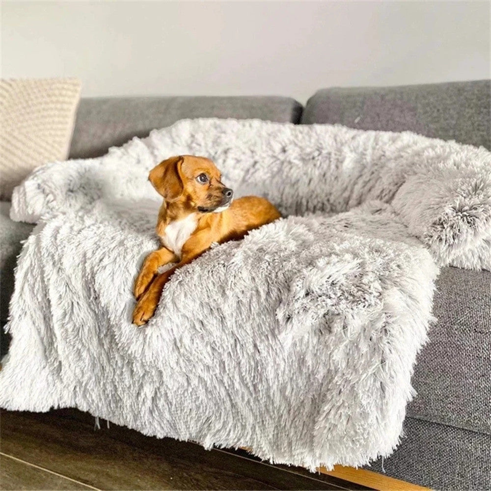 coussin-chien-gris