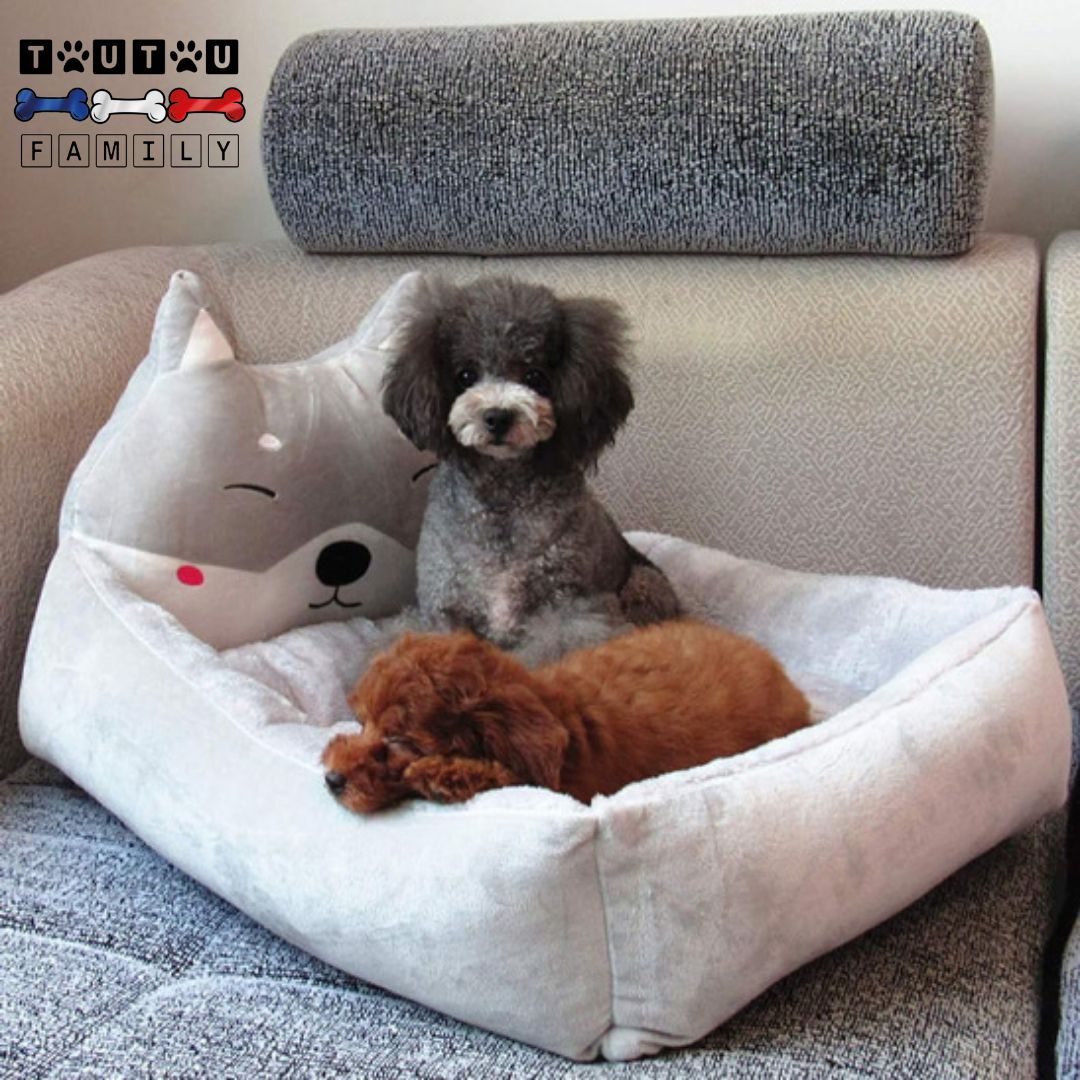 Coussin chien - MiniToutou™