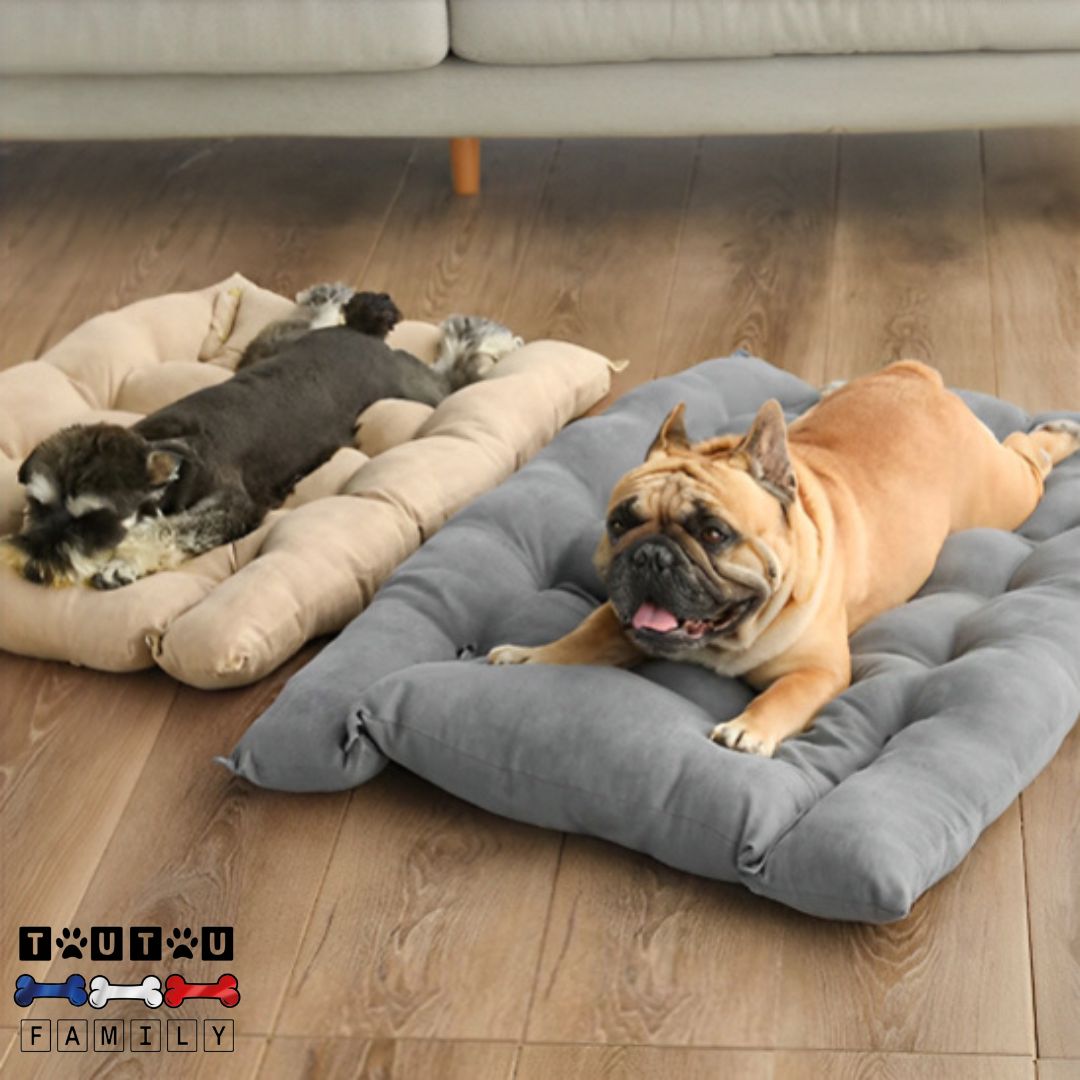 Coussin chien modulable - LuxeToutou™